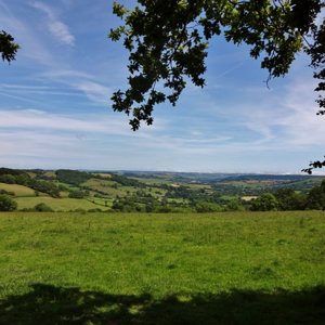 View from Farway Hill, Devon