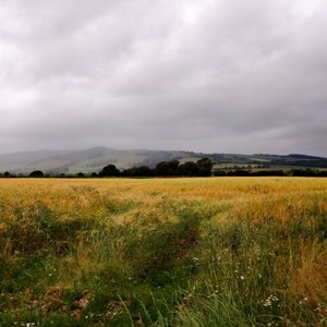 Rain over the Quantock Hills, Somerset