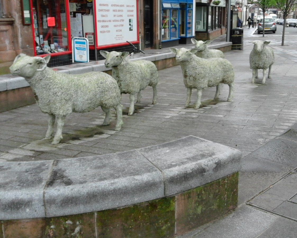 Sheep at Lockerbie square
