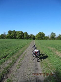 IMG_0594.JPG