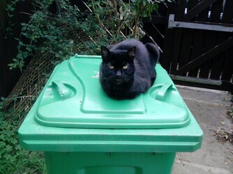 P161010_12.56.jpg P161010_12.56.jpg