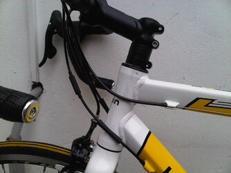 IMG00073-20101022-1600.jpg