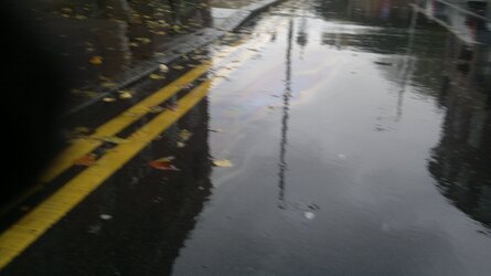 09112010015.jpg