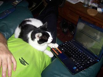 100_0262.JPG