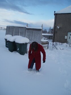 snow 2010 007.jpg