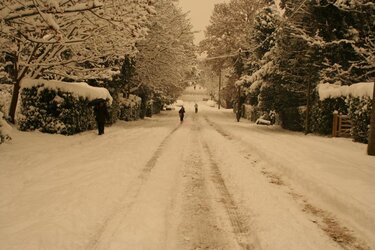 Img_7926r.jpg