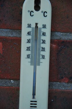 DSC_0063.JPG