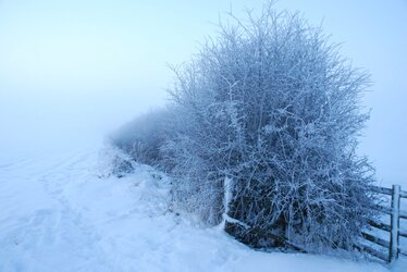 DSC_0056.JPG