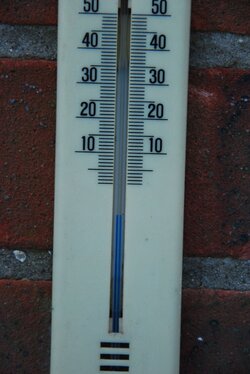 DSC_0064.JPG