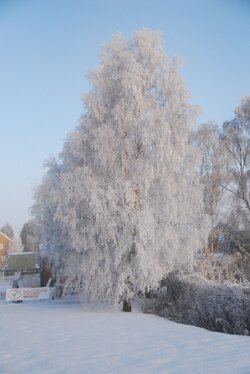 DSC_0070.JPG