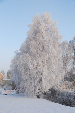 DSC_0071.JPG