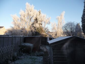Frosty Morn 01.JPG