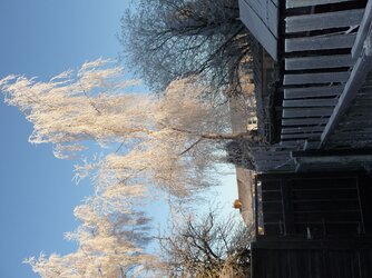 Frosty Morn 02.JPG