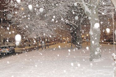DSC00002(a).jpg