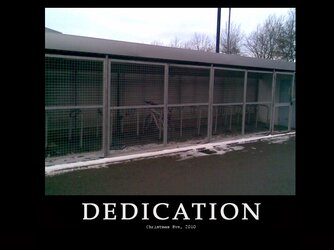 dedication.jpg