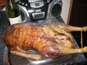 My Goose is cooked small.JPG