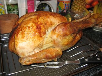 Talkin\' Turkey small.JPG