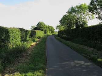 3549880716_37a0d55917.jpg