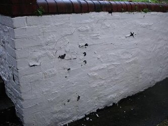 wall 2.JPG