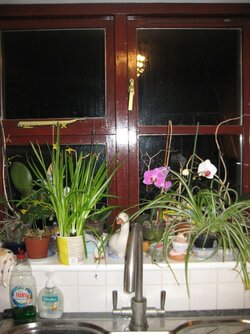 Copy of IMG_1702.JPG