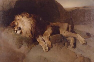 lion.jpg