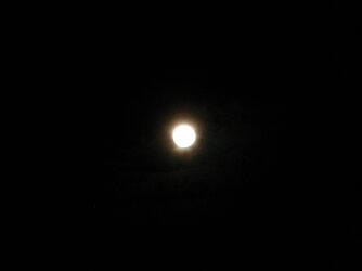 Full Moon 19.03.11 001.jpg