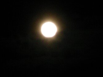 Full Moon 19.03.11 002.jpg