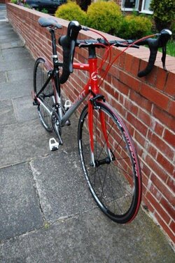 DSC_3654.jpg DSC_3654.jpg