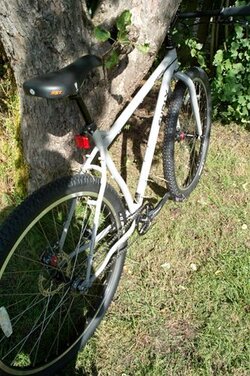 Surly Front cropped.jpg