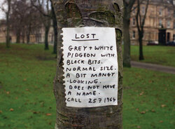 yorkshire-lost-poster1.jpg