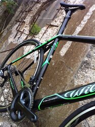 wilier5.JPG wilier5.JPG