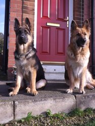 shads & Lucy.jpg shads & Lucy.jpg