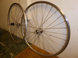P1000487.JPG