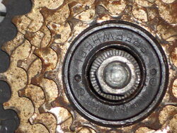 DSCN0079.JPG