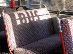 bus.jpg