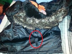 parka.jpg