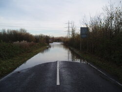 Rides. Newton Lane. 1.JPG