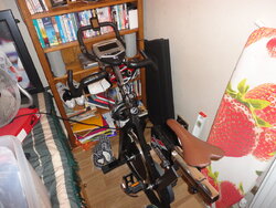 Cyclechat.JPG