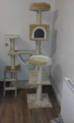awsome cat house.jpg