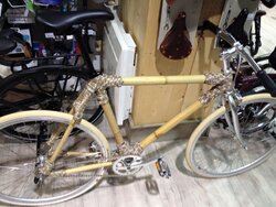 Frankenbike.jpg