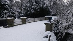 20160117_095246.jpg