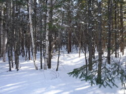 2016_0117_01274100.jpg