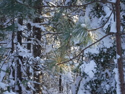 2016_0117_01303000.jpg