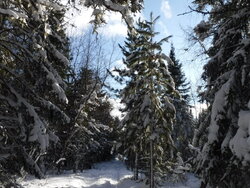 2016_0117_01345200.jpg