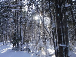 2016_0117_01483500.jpg