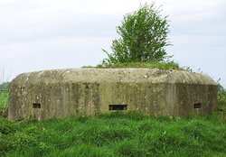 97.jpg