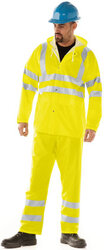 full Yellow.JPG