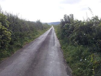 Long and winding lane.JPG