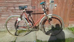20160229_124405.jpg