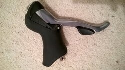 WP_20160229_005.jpg WP_20160229_005.jpg